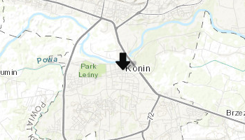 Ratusz miejski w Koninie