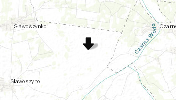 Rezerwat Bielawskie Błota w Ostrowie