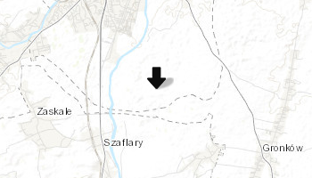 Rezerwat przyrody Bór na Czerwonem