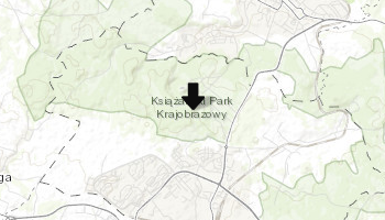 Ruiny Zamku Stary Książ w Wałbrzychu