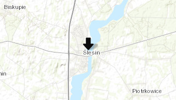 Ślesin