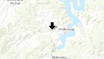 Wołkowyja