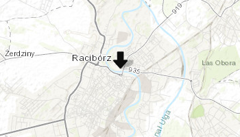 Zamek Piastowski w Rybniku