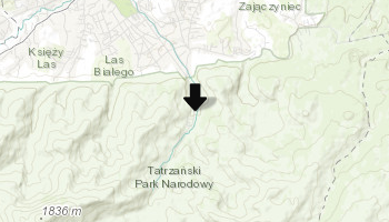 Zespół parkowy w Kuźnicach w Zakopanem