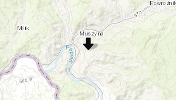 Żydowski cmentarz w Muszynie